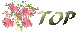About Image